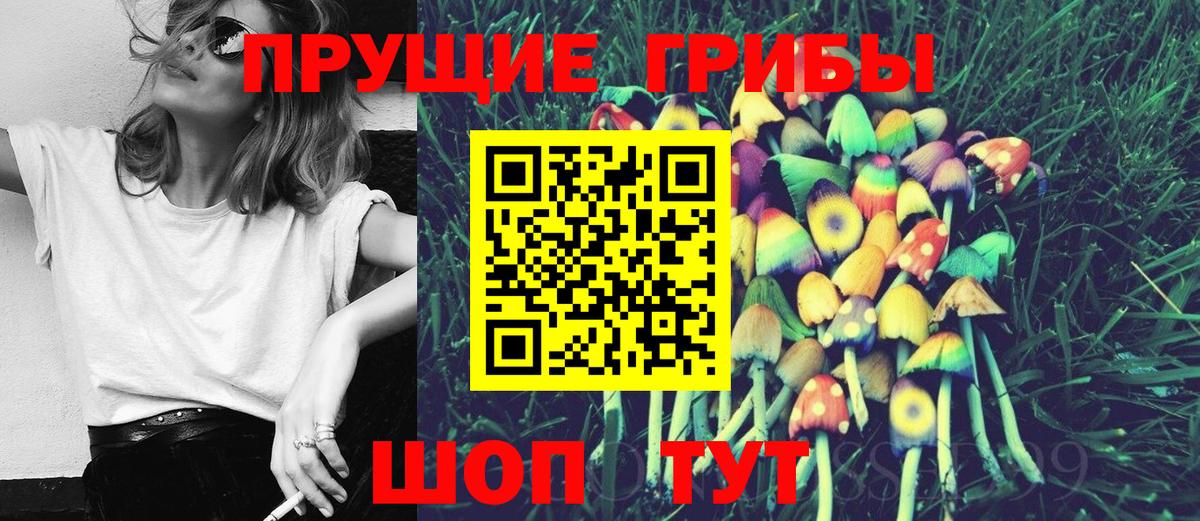 Галлюциногенные грибы MAGIC MUSHROOMS  наркотики  Вход с VPN  Выкса  Псилоцибиновые грибы MAGIC MUSHROOMS 