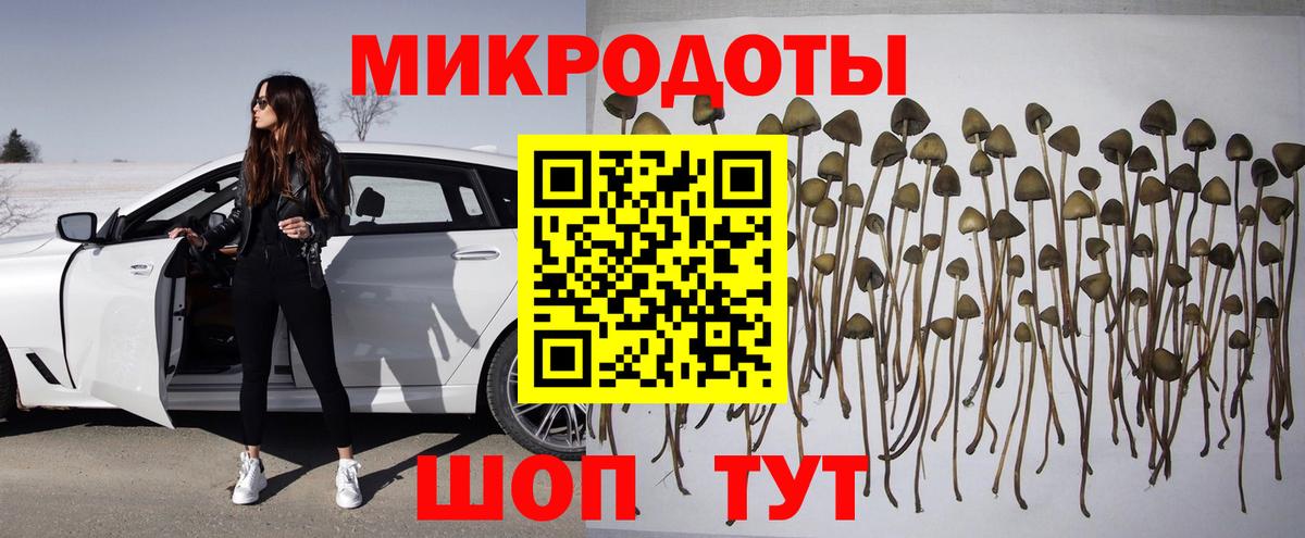 Галлюциногенные грибы мухоморы Выкса